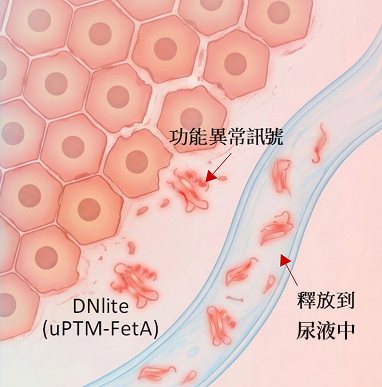 初始功能異常狀態
